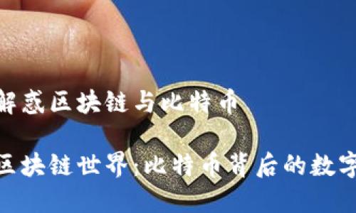 长文解惑区块链与比特币

探秘区块链世界：比特币背后的数字革命