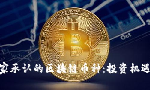 揭秘国家承认的区块链币种：投资机遇与风险