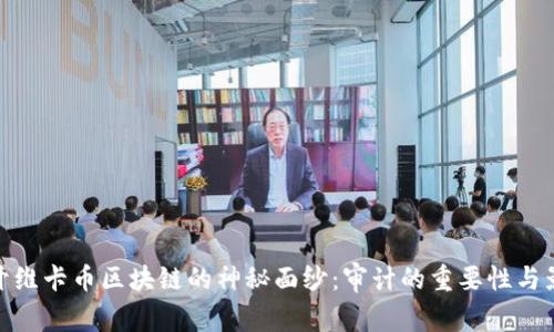 揭开维卡币区块链的神秘面纱：审计的重要性与影响