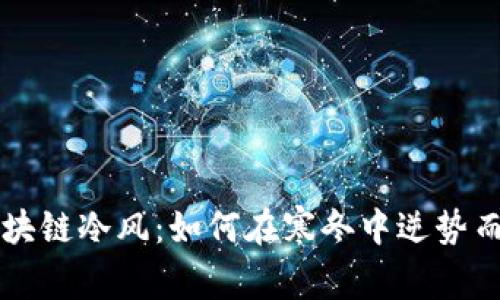 区块链冷风：如何在寒冬中逆势而上