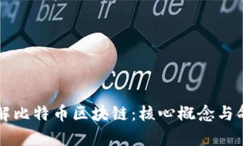 深入了解比特币区块链：核心概念与命名解析