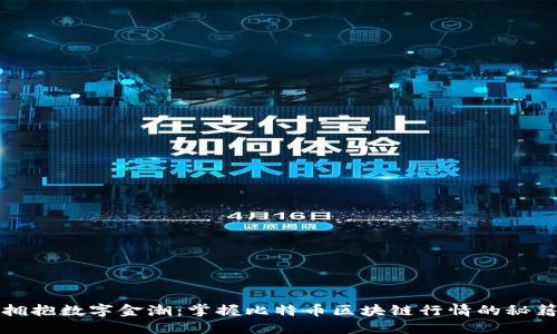 拥抱数字金潮：掌握比特币区块链行情的秘籍