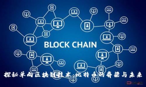 探秘单向区块链技术：比特币的脊梁与未来