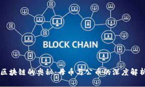 区块链的奥秘：母币与公币的深度解析