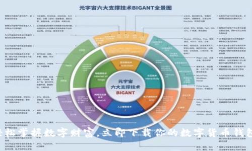 轻松掌握数字财富，立即下载你的数字货币钱包！
