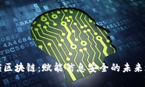 解锁区块链：赋能信息安全的未来之钥