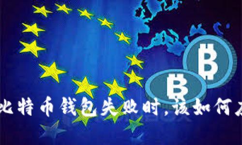 当你的TP钱包比特币钱包失败时，该如何应对并重获信心
