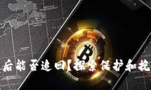 tp钱包被盗后能否追回？探索保护和挽回的可能性