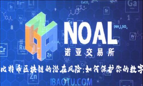 揭秘比特币区块链的潜在风险：如何保护你的数字资产