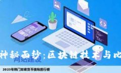 揭开数字货币的神秘面纱：区块链技术与比特币