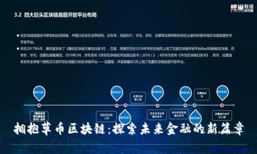 拥抱草币区块链：探索未来金融的新篇章