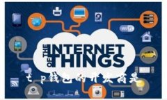 t p钱包的开发商是