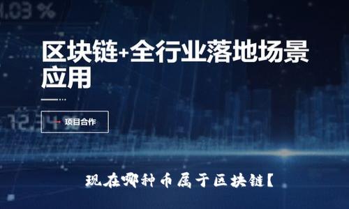  现在哪种币属于区块链？