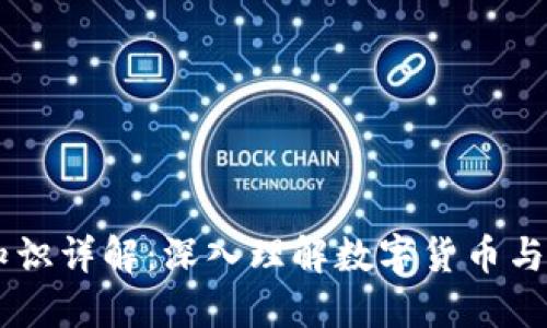 币圈区块链知识详解：深入理解数字货币与去中心化技术
