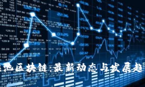 瑶池区块链：最新动态与发展趋势