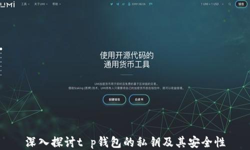 
深入探讨t p钱包的私钥及其安全性