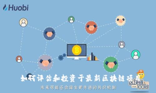  如何评估和投资于最新区块链项目