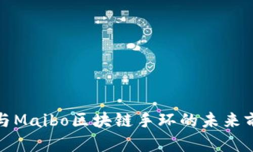 万普币与Maibo区块链手环的未来前景探讨