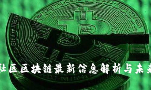 彭博社区区块链最新信息解析与未来趋势