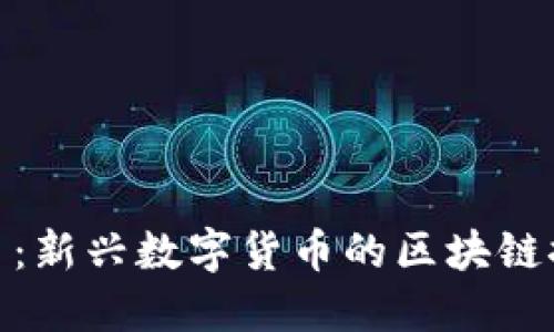 Pi币：新兴数字货币的区块链探索