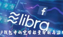   tP钱包中的宽带能量分析与应用