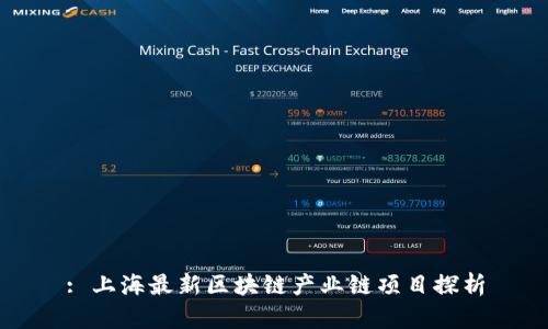 : 上海最新区块链产业链项目探析