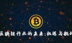 区块链行业的未来：机遇与挑战