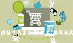 区块链中的未来币：技术、挑战与展望